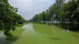 南京情侣园 景点图 355_16