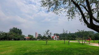 南京情侣园 景点图 355_18