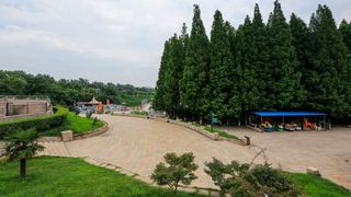 南京白马石刻公园 景点图 356_2