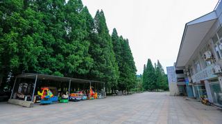 南京白马石刻公园 景点图 356_3