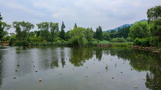 南京白马石刻公园 景点图 356_4