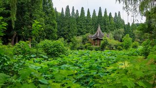 南京白马石刻公园 景点图 356_5