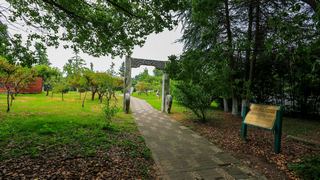 南京白马石刻公园 景点图 356_6