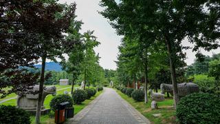 南京白马石刻公园 景点图 356_12