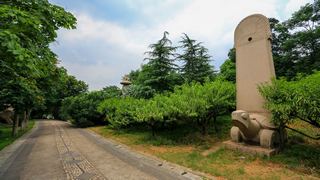 南京白马石刻公园 景点图 356_19