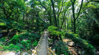 花果山孔雀沟 景点图 357_2