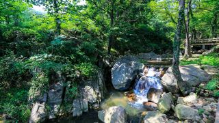 花果山孔雀沟 景点图 357_5