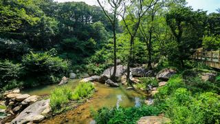 花果山孔雀沟 景点图 357_10