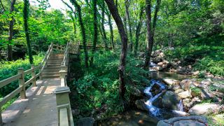 花果山孔雀沟 景点图 357_11