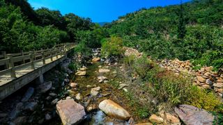 花果山孔雀沟 景点图 357_16