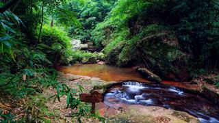 赤水丹霞·燕子岩 景点图 36_6