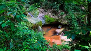 赤水丹霞·燕子岩 景点图 36_11