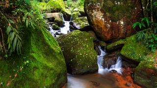 赤水丹霞·燕子岩 景点图 36_16