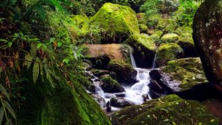 赤水丹霞·燕子岩 景点图 36_17