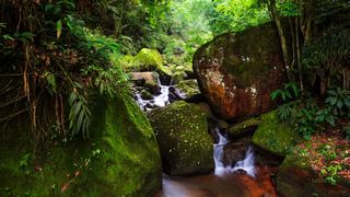 赤水丹霞·燕子岩 景点图 36_18