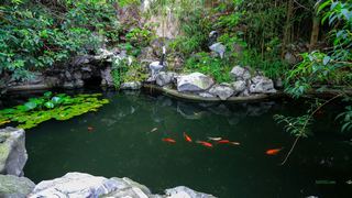 扬州八怪纪念馆 景点图 362_16