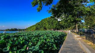 玄武湖 景点图 366_5