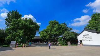 南京总统府 景点图 368_4