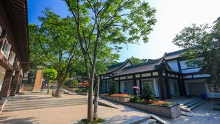 中山陵 景点图 369_5