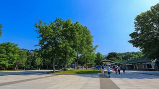 中山陵 景点图 369_6