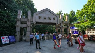 中山陵 景点图 369_9