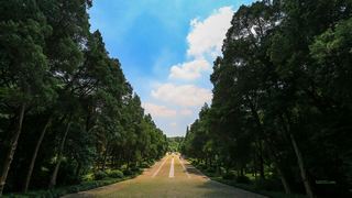 明孝陵 景点图 370_9