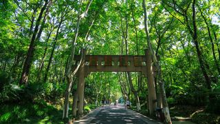 灵谷寺 景点图 371_3