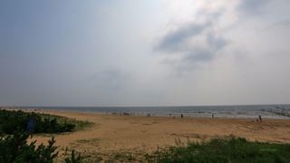 日照海滨国家森林公园 景点图 372_4