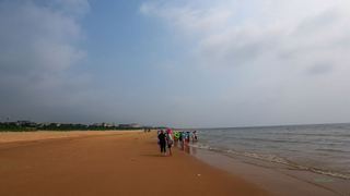 日照海滨国家森林公园 景点图 372_6