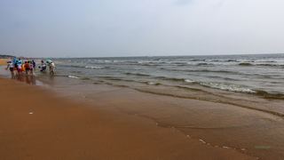 日照海滨国家森林公园 景点图 372_7