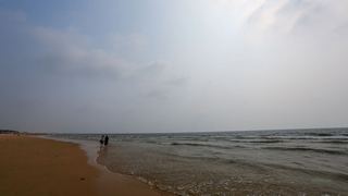 日照海滨国家森林公园 景点图 372_8