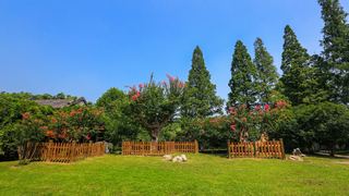 镇江南山风景区 景点图 373_11