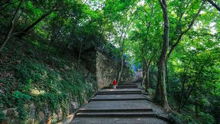 北固山风景区 景点图 374_9