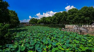 金山寺 景点图 375_2