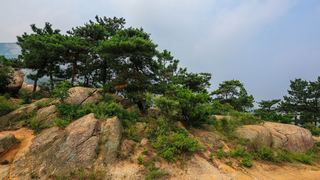 石棚山风景区 景点图 379_16
