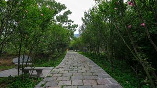 桃花涧风景区 景点图 381_4