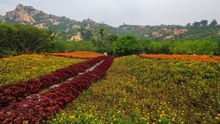 桃花涧风景区 景点图 381_5