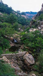 桃花涧风景区 景点图 381_11