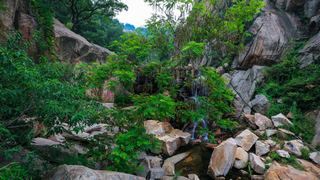 桃花涧风景区 景点图 381_12