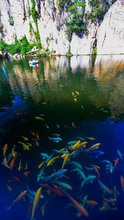 渔湾景区 景点图 382_6