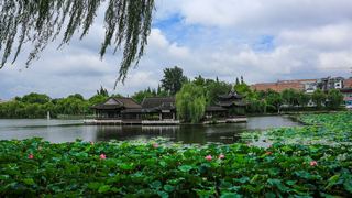 荷花池公园 景点图 386_2