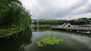 荷花池公园 景点图 386_7