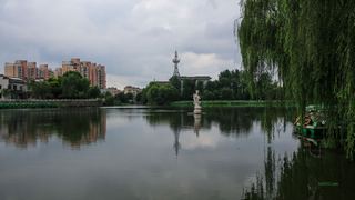 荷花池公园 景点图 386_8