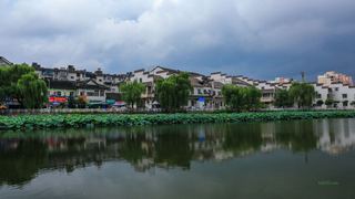 荷花池公园 景点图 386_13