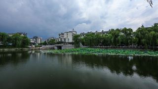 荷花池公园 景点图 386_16
