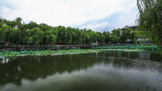 荷花池公园 景点图 386_17