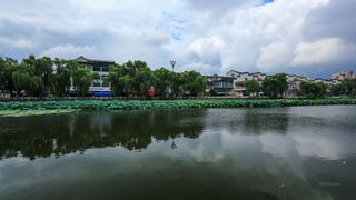 荷花池公园 景点图 386_18