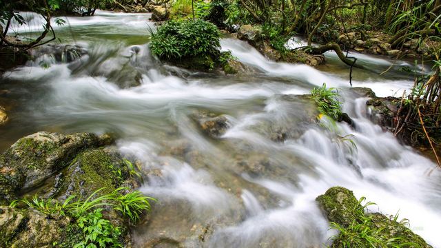 水上森林 荔波樟江