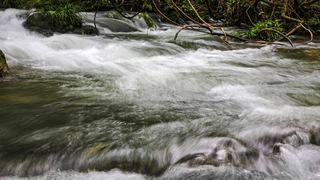 水上森林 荔波樟江 景点图 39_6
