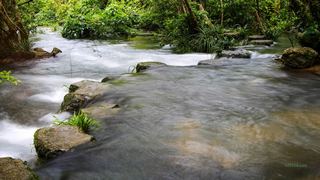 水上森林 荔波樟江 景点图 39_9
